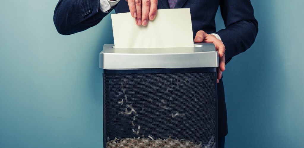 The purge essay image