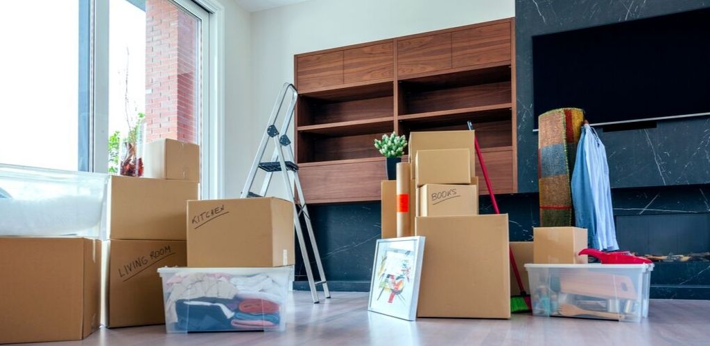 The Benefits of Plastic Moving Boxes The Organizing Zone, Inc