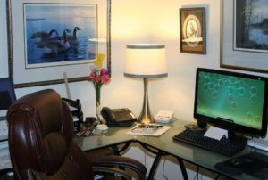 professional home office organizer elevates home offices