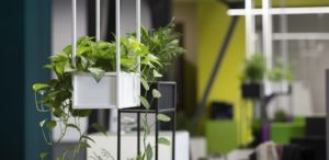 design tips for office productivity